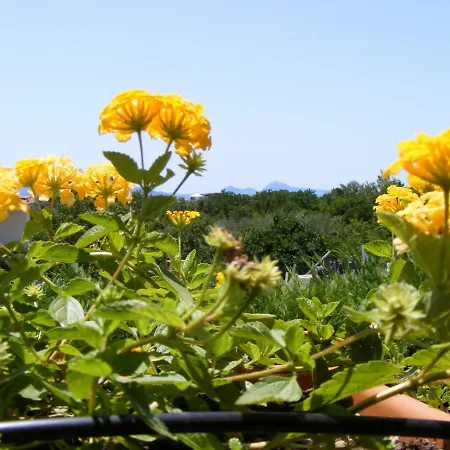 Il Ghiro Del Vesuvio Appartement Trecase